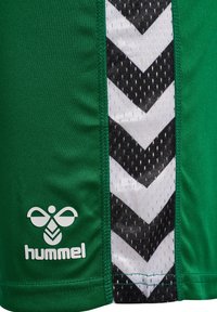 Gröna sportshorts med ett svart och vitt chevronmönster längs sidan, med en vit Hummel-logotyp längst ner.