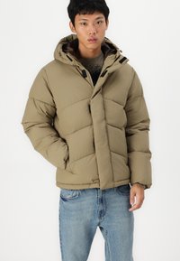 Jack & Jones JJWORLD  brązowy