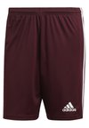 SQUADRA 21 SHORTS - Kurze Sporthose - red