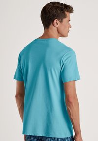 Korte mouwen t-shirt in fel turquoise, van katoenen materiaal, met ronde halslijn, gladde textuur en een ontspannen pasvorm, zichtbaar van achteren.