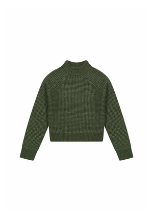 Lee LONG SLEEVE - Trui - olive gray