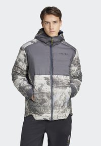 Adidas Terrex NATIONAL GEOGRAPHIC INSULATED REVERSABLE - Zimní bunda - grey six