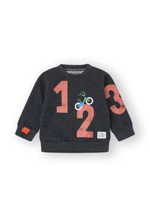 Sudadera gris oscuro con números 1, 2, 3 en neón rosa y un gráfico de bicicleta verde. Cuello y puños de canalé con detalle de acento en naranja.