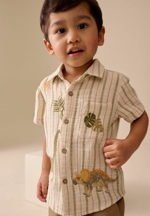 Mladý chlapec v béžové košili s krátkými rukávy, zelenými pruhy a výšivkou dinosaura a listů, stojící před neutrálním jednobarevným pozadím.