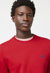 Sweatshirt rouge avec un col rond et un logo d'arbre bleu. Superposé avec une chemise à rayures à col rond en dessous. Texture lisse.