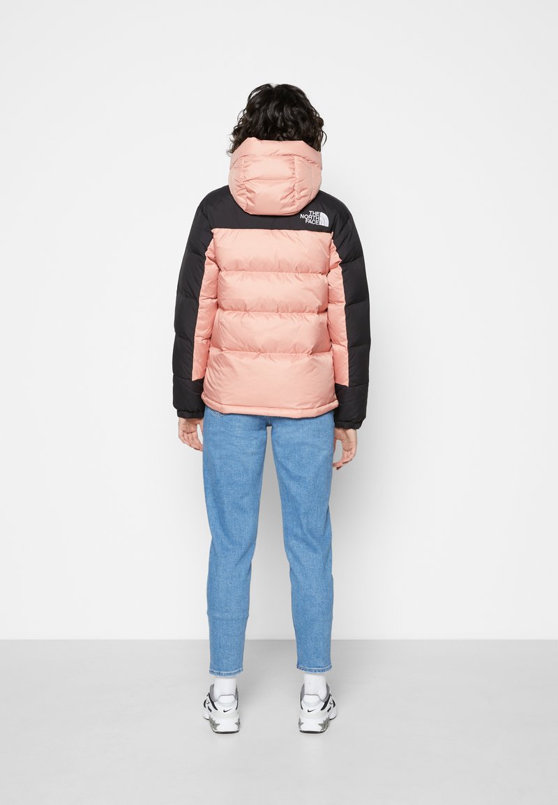 Damen Leichte Jacken | The North Face Daunenjacke rose dawn/rosa - PB67373 Damen Leichte Jacken | The North Face Daunenjacke rose dawn/rosa - PB67373