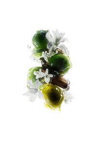 Des sphères translucides vertes et jaunes entourées de fleurs blanches et de bois, créant une composition organique avec des gouttes d'eau.