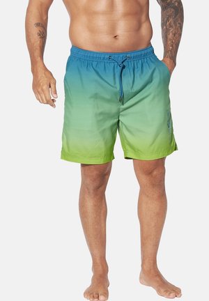 Schwimmshorts mit blau-grünem Farbverlauf, elastischem Bund, Kordelzug und einem Logo auf der Vorderseite. Hergestellt aus leichtem, schnell trocknendem Material.