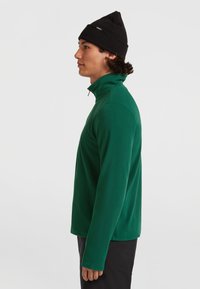 Grön fleece-pullover med hög krage och dragkedja, med långa ärmar och en slät yta. Bärs med en svart mössa.