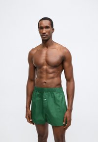 Πράσινα βαμβακερά σορτς με ελαστική μέση, με λεπτομέρεια μπροστινού κουμπιού και λεία υφή, παρουσιασμένα σε μοντέλο χωρίς πουκάμισο.