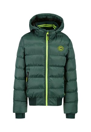 NATHAN - Winter jacket - bottle