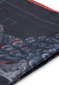 BOHEMIAN REVOLT ST POUL - Lommetørkle - blue