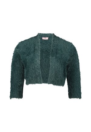 Teal cropped jacket met een textured, fluffy buitenkant. Ontworpen met lange mouwen en een open voorkant, met minimalistische details.