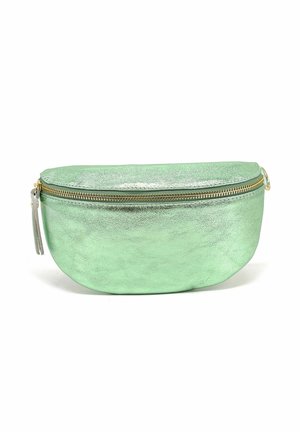 Pochette métallique vert menthe de forme oval arrondie, avec un détail de fermeture éclair dorée et une petite frange attachée. Texture lisse sur toute la surface.
