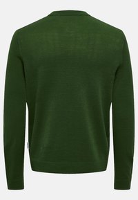 Groene trui met lange mouwen, ronde halslijn en ribgebreide zoom. Gemaakt van een glad materiaal, met een effen kleur zonder patronen.