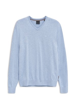 Light blue V-neck long-sleeve sweater with ribbed cuffs and hem, featuring small embroidered logo on chest and brand label inside collar.