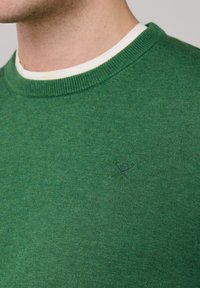 Grüner Strickpullover mit geripptem Rundhalsausschnitt und dezentem Logodetail in passendem Grün auf der Brust. Glatte Textur, einfarbig.