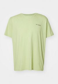 PFG UNCHARTED™ GRAPHIC TEE - T-skjorte til trening - pear heather