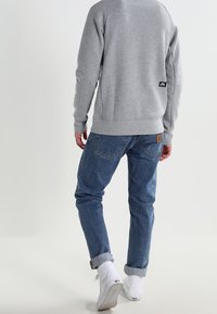 Nike SB Sudadera - mottled grey