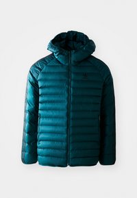 PAD HOODED  - Chaqueta de invierno - aurora ivy