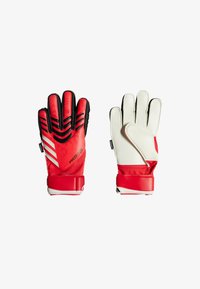 Seleccionado, pure ruby lucid red black