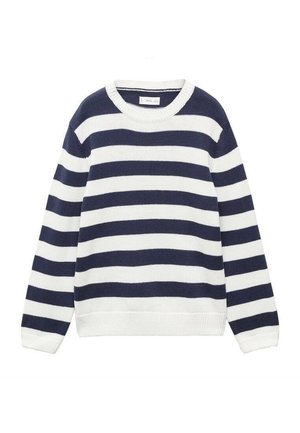 Marineblauwe en witte horizontaal gestreepte, lange mouwen, gebreide trui met ronde hals en geribbelde boorden bij de mouwen en zoom.