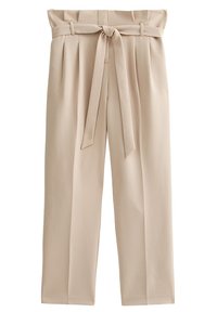 Beige plooibroek met een hoge taille, ceintuur en wijde benen. Glad stof met een minimalistische stijl en zonder zichtbare hardware.