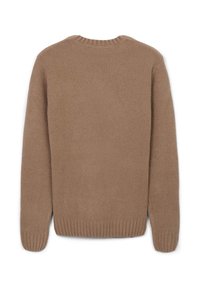 Brauner gestrickter Pullover mit rundem Ausschnitt, gerippten Bündchen und Saum. Glatte Textur in einfarbig ohne auffällige Muster oder Akzente.