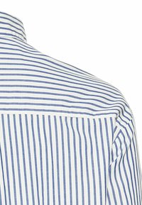 Blau-weißer gestreifter Hemd mit Button-Down-Kragen, glattem Stoff und taillierter Passform, sichtbar von hinten mit Nähten und Steppdetails.