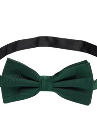 Grön sidenfluga med texturerad yta, som har en central veckning och ett justerbart band av svart satin.