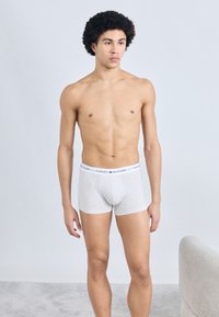 Γκρι βαμβακερά μπριφ ανδρικά εσώρουχα με άσπρη μέση που φέρει το λογότυπο "TOMMY HILFIGER" σε κόκκινο και μπλε. Μοντέλο στέκεται μπροστά σε φωτεινό φόντο.