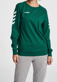 Zielona bluza wykonana z mieszanki bawełny, z białymi paskami w kształcie chevronu na rękawach i logo na klatce piersiowej. W połączeniu z szarymi dresami.