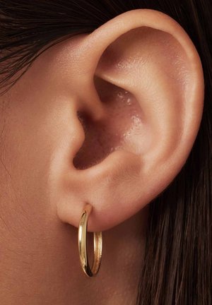 Earrings - gold