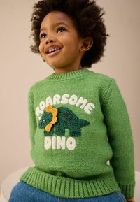 Zelený pletený sveter s textúrovaným dizajnom dinosaura, s žltým hrebeňom a bielym nápisom "ROARSOME DINO".