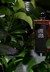 Bottiglia di profumo Serge Lutens, rettangolare, in vetro ambrato con un'etichetta nera, circondata da foglie verdi, dotata di un tappo nero rotondo.