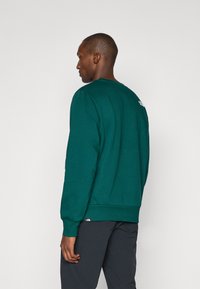 Green sweatshirt made of soft fabric, featuring a round neckline, long sleeves, ribbed cuffs, and a logo on the back. Plain design.