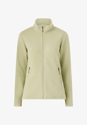 Giacca in pile verde chiaro con colletto alto, zip completa e due tasche laterali. Texture morbida con finitura uniforme.