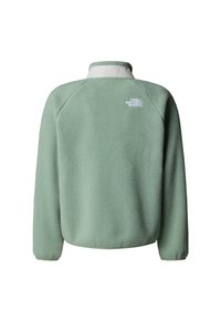Pulover din fleece de culoare verde pastel moale, cu guler înalt și mâneci raglan. Logo-ul The North Face este afișat pe partea superioară a spatelui.