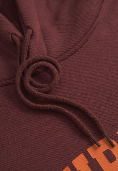 WOOD WOOD WWJAMES AAARC - Sweat à capuche - decadent chocolate
