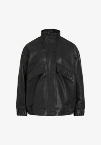 Sélectionné, meteorite