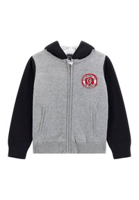 Felpa con zip grigia, maniche nere e logo circolare rosso. Presenta una morbida fodera interna, tasche frontali e polsini a costine.