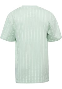 Lys grøn kortærmet t-shirt med hvide lodrette striber. Blødt bomuldsstof. Klassisk rund halsudskæring. Ingen synlige logoer eller detaljer.