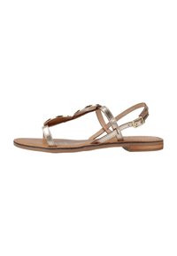 Sandali piatti con cinturini metallici dorati, design open toe, fibbia regolabile alla caviglia e soletta e suola in pelle marrone.