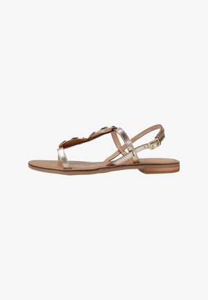 Sandali piatti con cinturini metallici dorati, design open toe, fibbia regolabile alla caviglia e soletta e suola in pelle marrone.