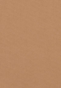 Tan fabric with a textured surface, featuring a diagonal pattern. The material appears durable and suitable for upholstery or clothing.