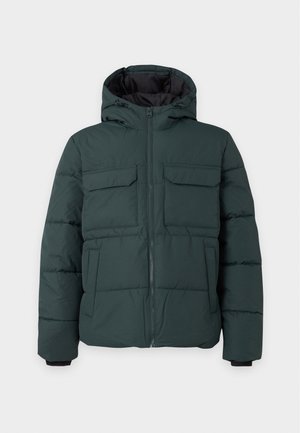 Only & Sons, ONSELIJAH HOOD JACKET - Veste d'hiver - darkest spruce