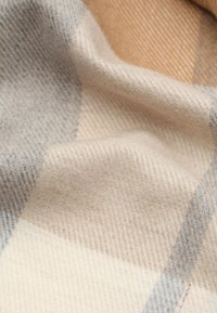 Wollen deken met een geruit patroon in beige, lichtbruin en lichtblauw. Zachte textuur, zichtbare weving en warme tinten zorgen voor een gezellige uitstraling.