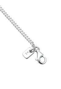 Silverfärgad kedjehalsband med en kräfta-lås. Har en slät, sammanlänkad design och en liten tagg märkt med "925."