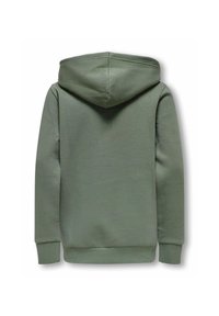 Haut à capuche vert, en mélange de coton, avec des poches kangourou, des poignets et un ourlet côtelés, texture lisse et capuche pointue. Vue de dos sans détails de design.