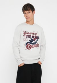 Lys grå hettegenser med fronttrykk av et damplokomotiv og teksten "Hogwarts Express" i rødt og marineblått, rund hals, ribbestrikkede mansjetter.
